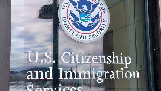 关于政府收取庇护申请年费的说明